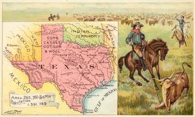 Texas, USA by American School